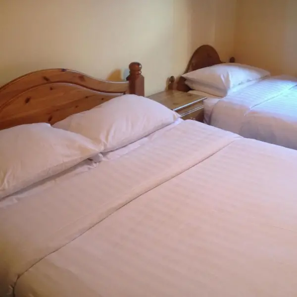 Twin Lions Hotel 4
