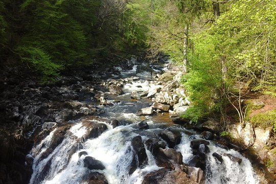 Tour image 5