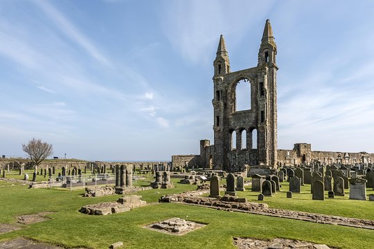 Tour image 5