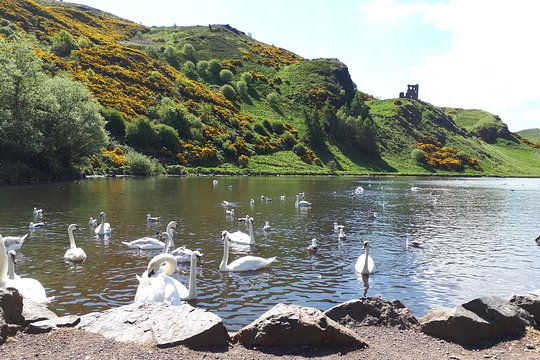 Tour image 4