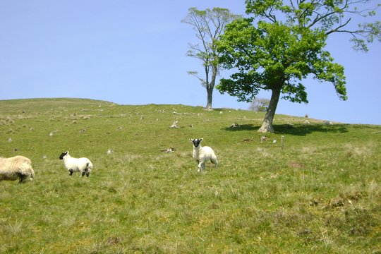 Tour image 11