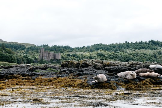 Tour image 6