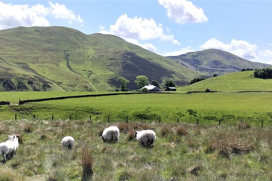 Tour image 5