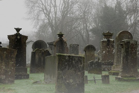 Tour image 3