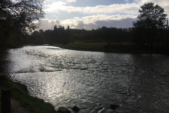 Tour image 8