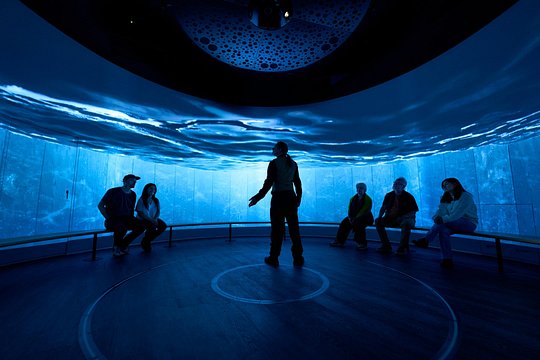 Tour image 5